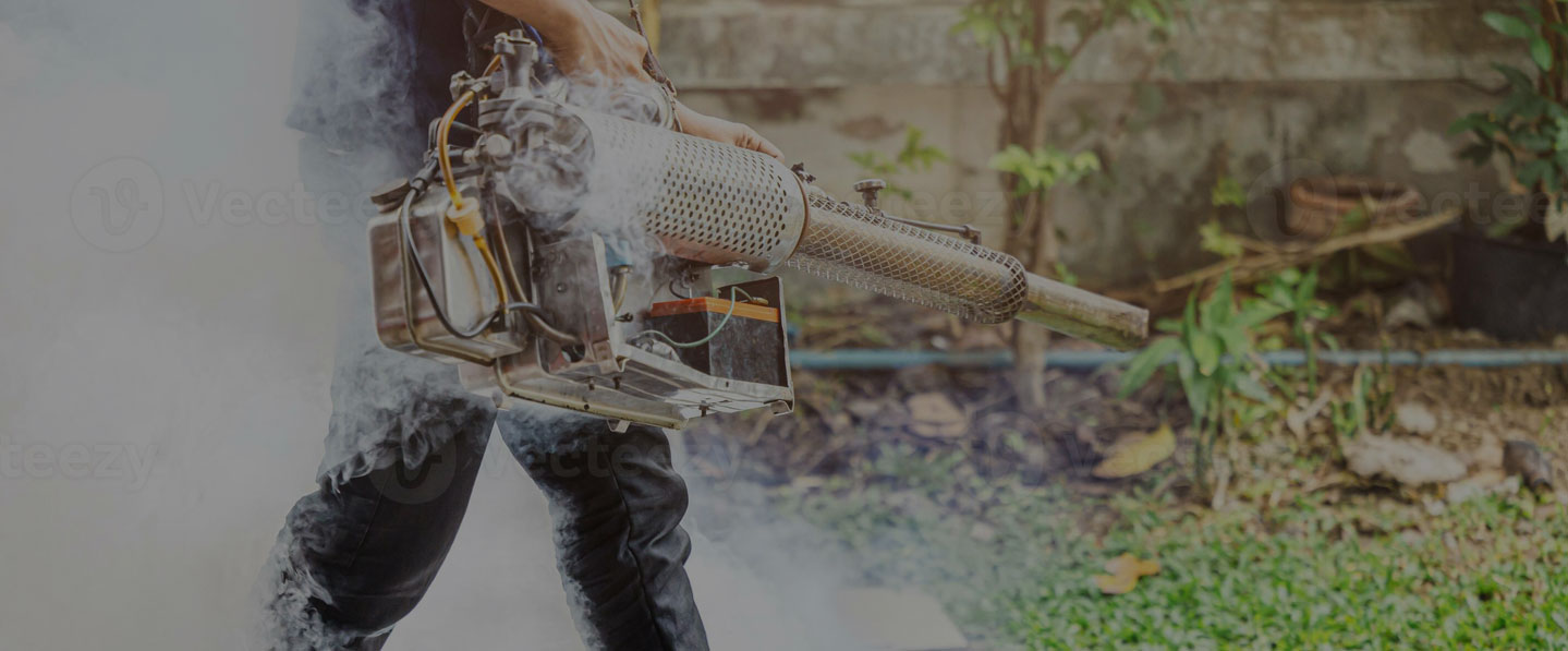 Swift Pest Removal 