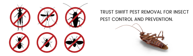 Swift Pest Removal